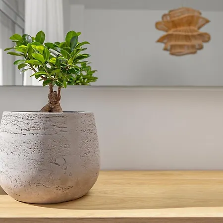 Apartment Rhodes Center Santa Maria