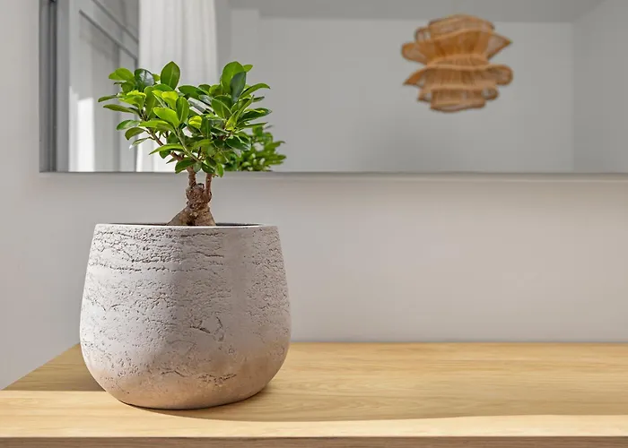 Apartment Rhodes Center Santa Maria